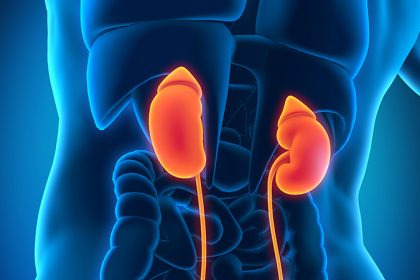 PROTECT YOUR KIDNEYS – Part 4  By Tony Akinyemi