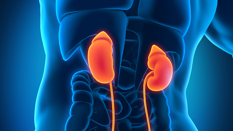 PROTECT YOUR KIDNEYS – Part 4  By Tony Akinyemi
